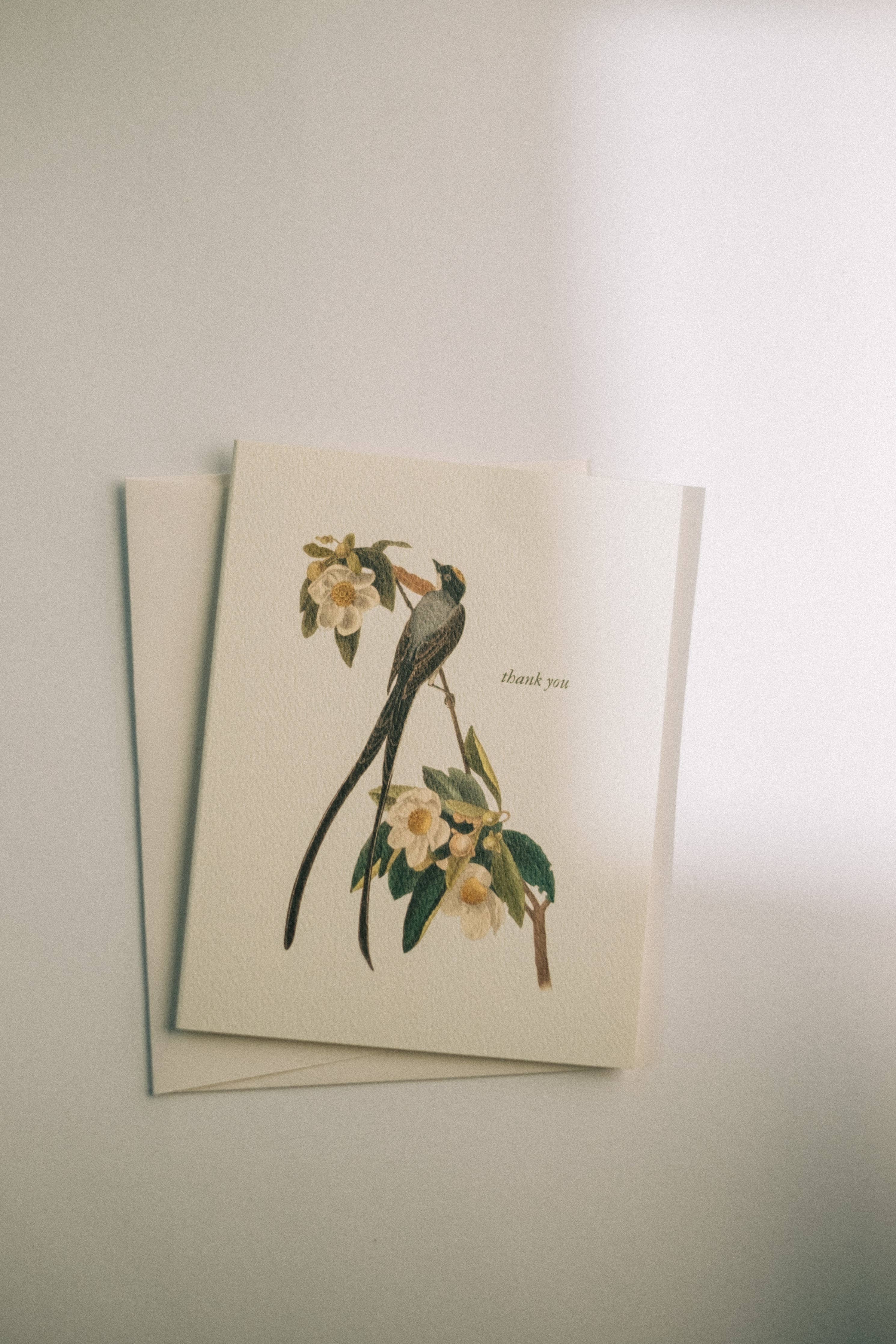 Flycatcher Thank You Cards: Set of 6