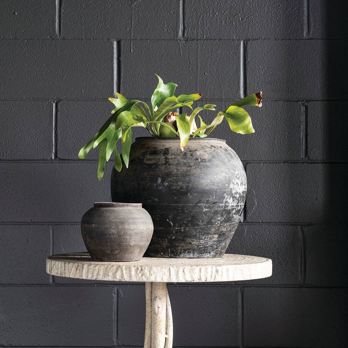 Cunmin Pot: Small