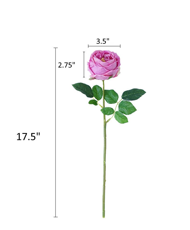 Faux English Cabbage Rose Stem: Light Champagne
