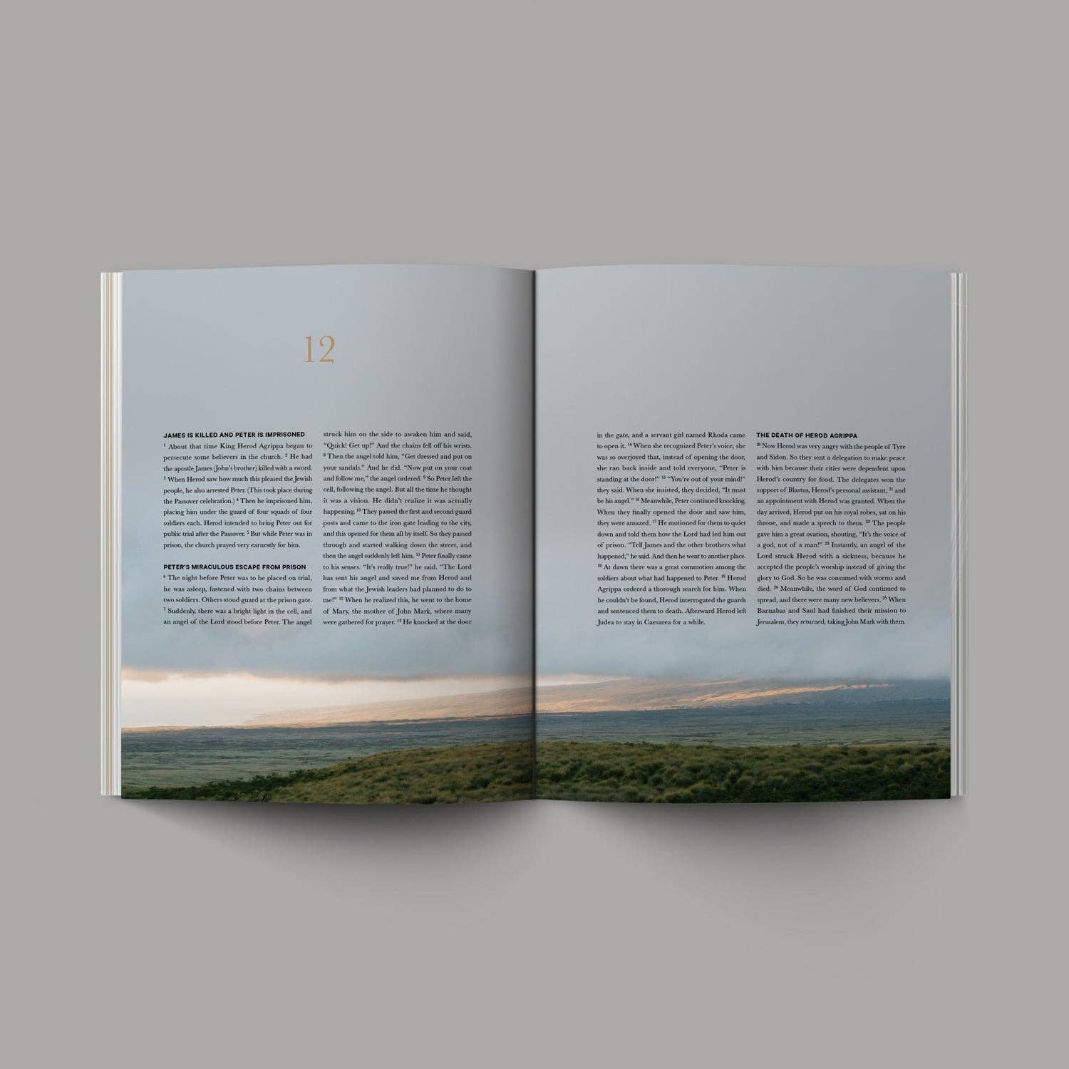 The Book of Acts | Coffee Table Book