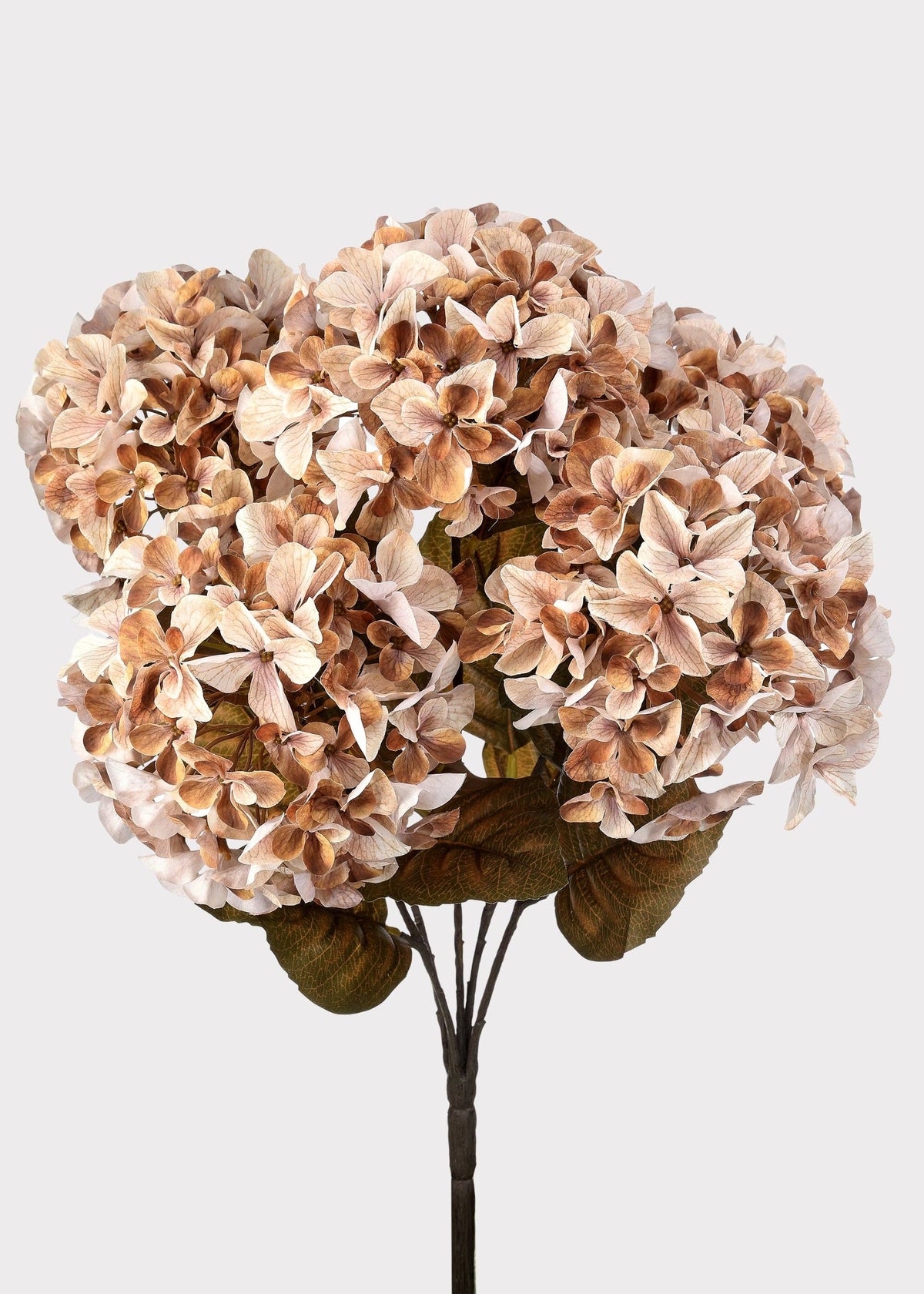 SAVE - Artificial Autumn Hydrangea Bush in Cream and Brown - 22"