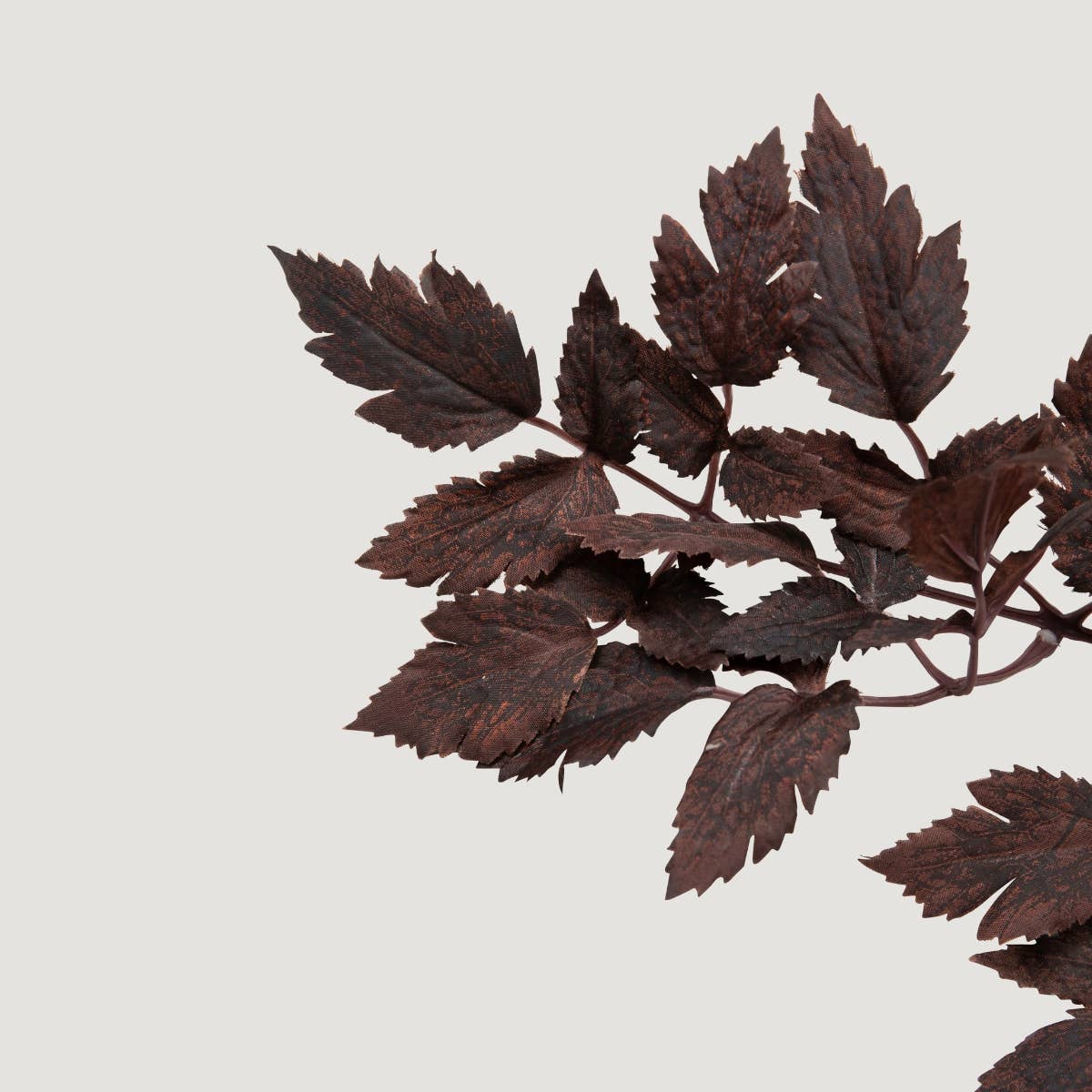 Plum Faux Cimicifuga Ramosa Leaves: 31" Stems