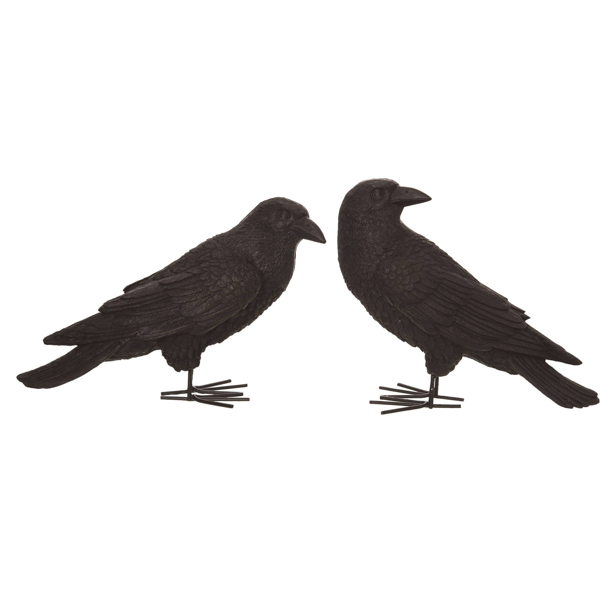 Black Crows: Set of 2