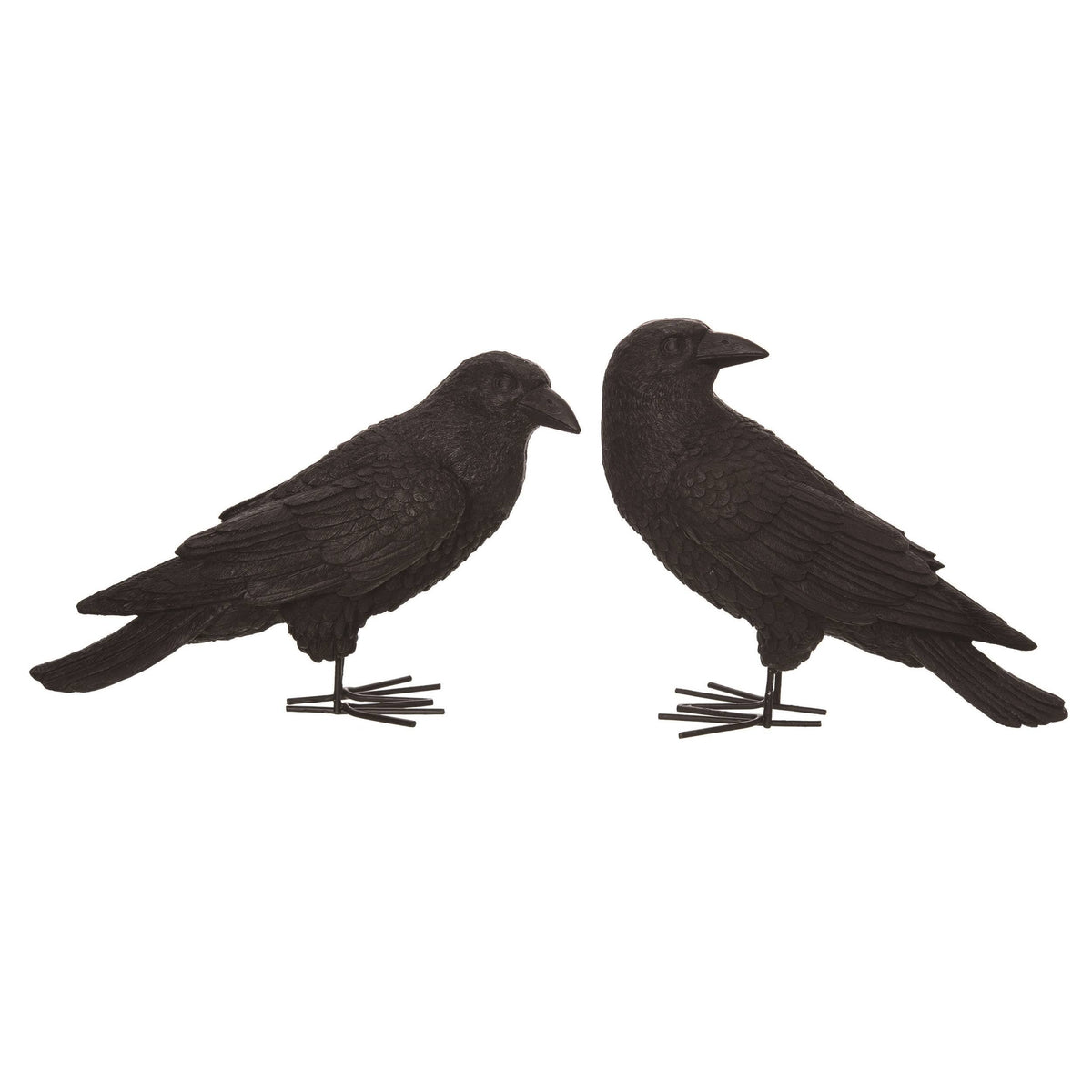 Black Crow: Single – home decor from Heirloom Shoppe, Marble Falls TX