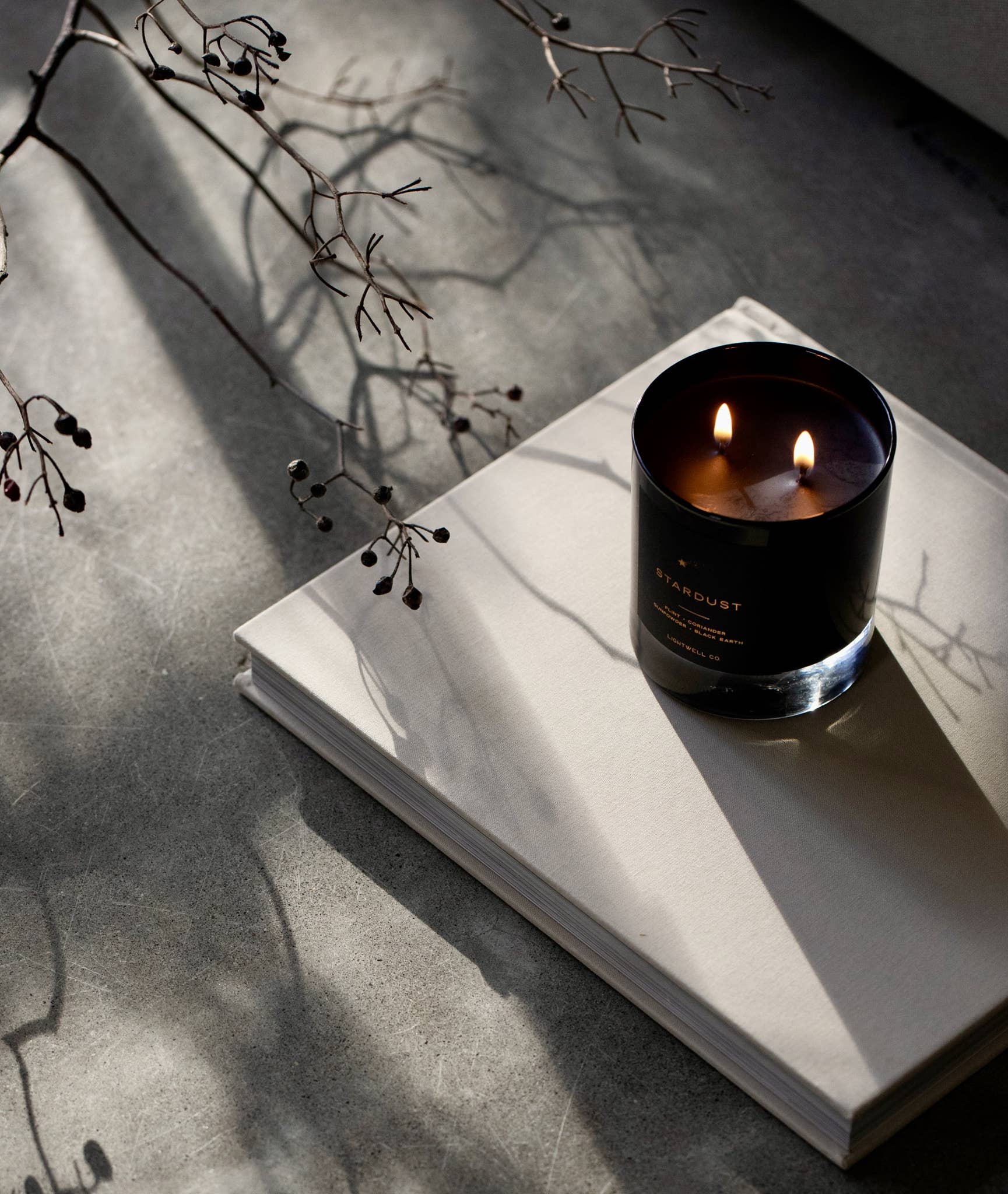 Stardust Black Tumbler