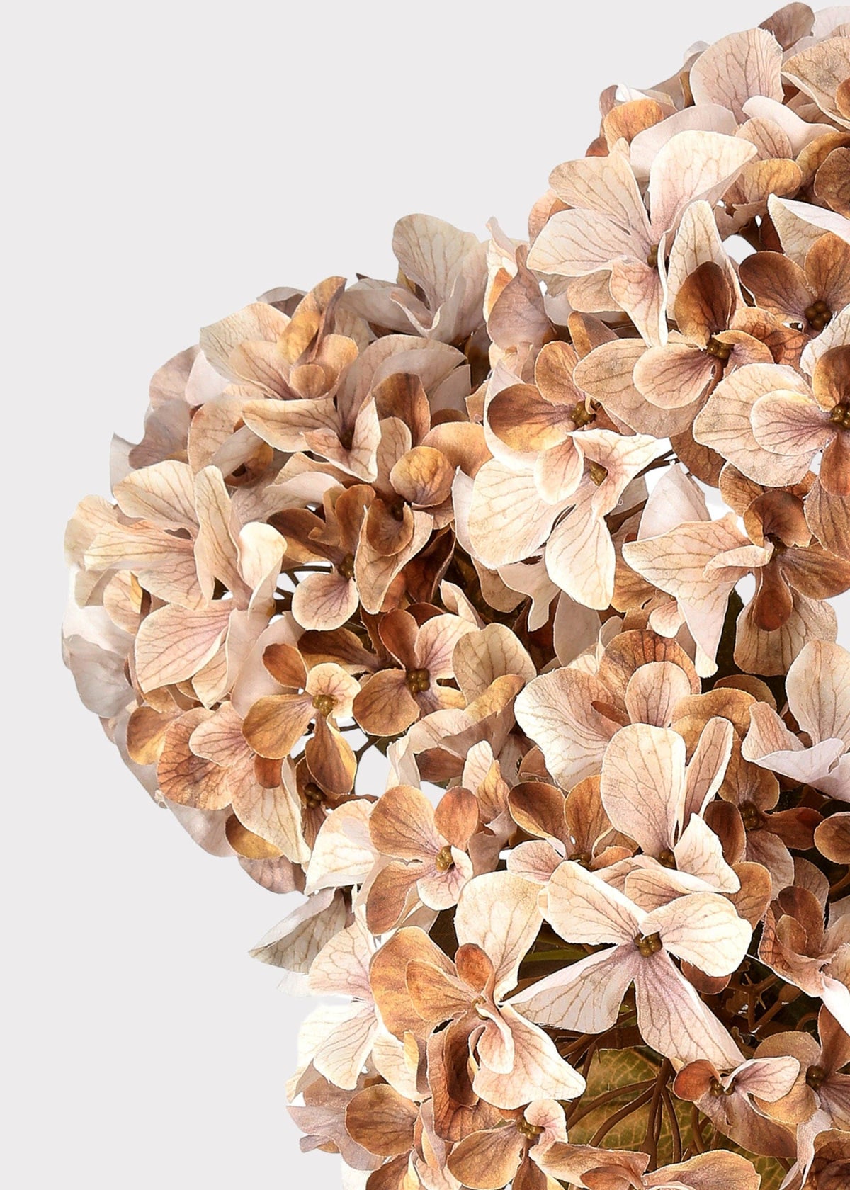 SAVE - Artificial Autumn Hydrangea Bush in Cream and Brown - 22"