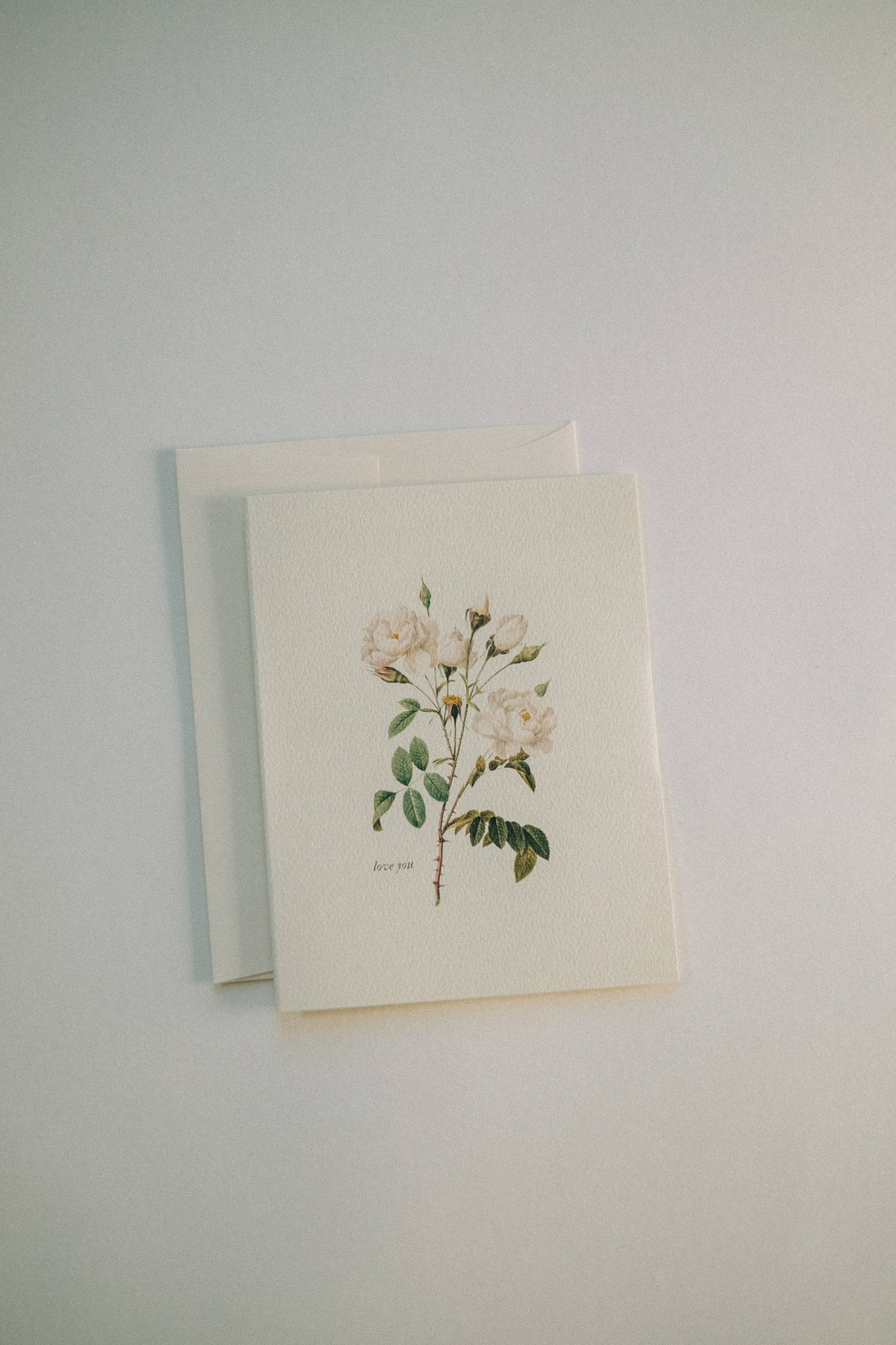 Vintage Roses Note Card: Set of 6