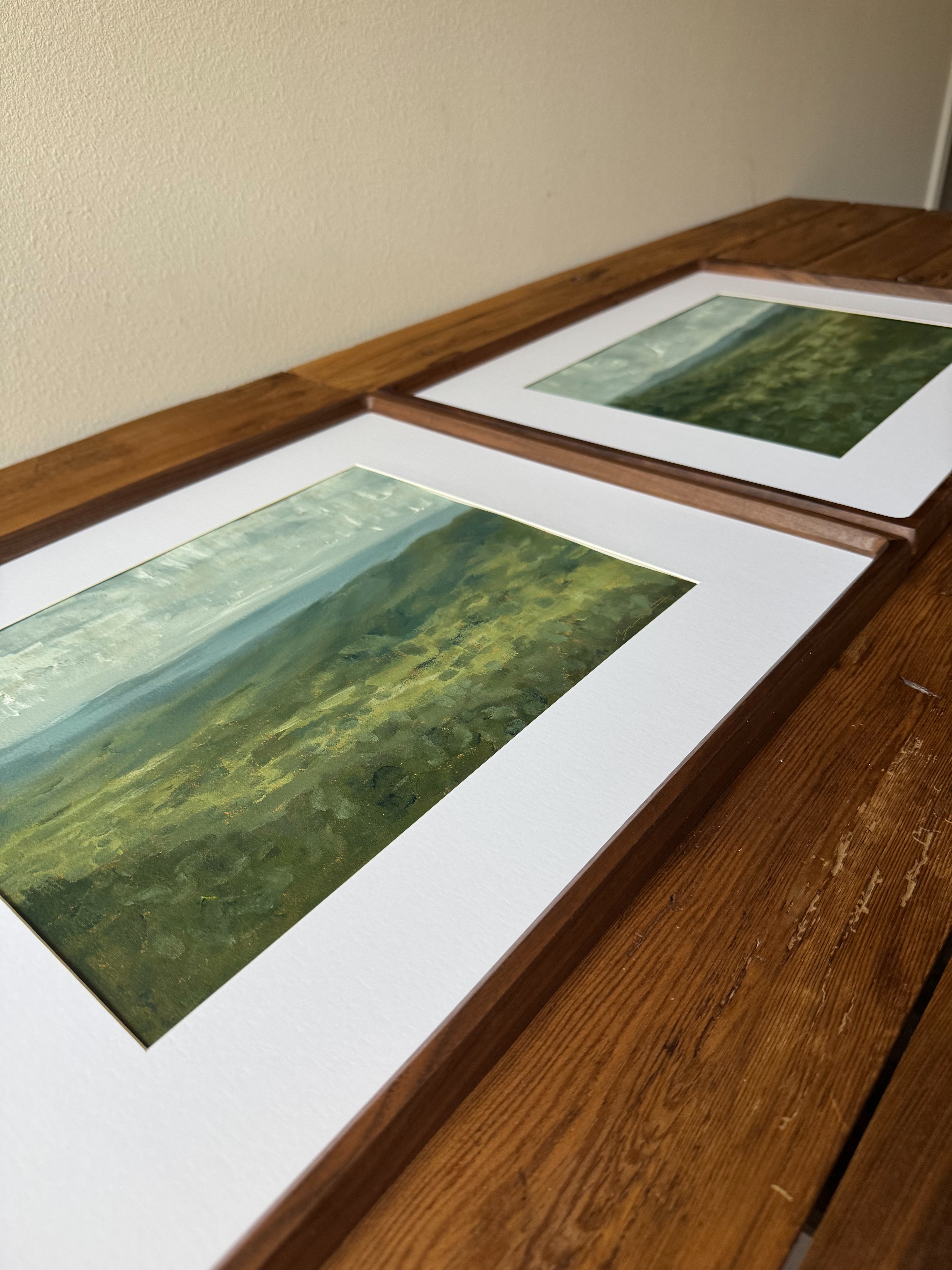 Hill Country Vista No. 03 & 04 - Framed Art by Megan Houssian