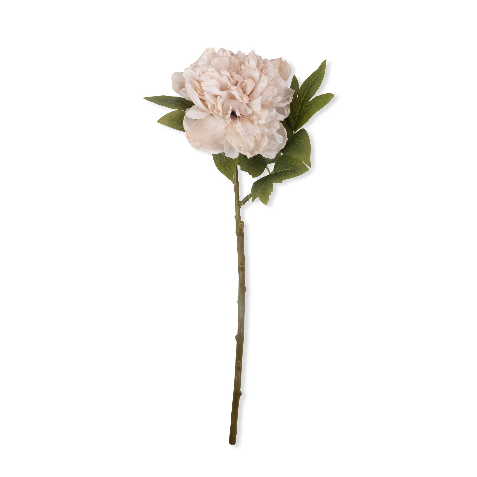 Faux Peony: Evening Dew