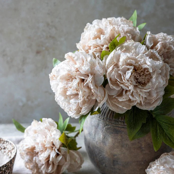 Faux Peony: Evening Dew