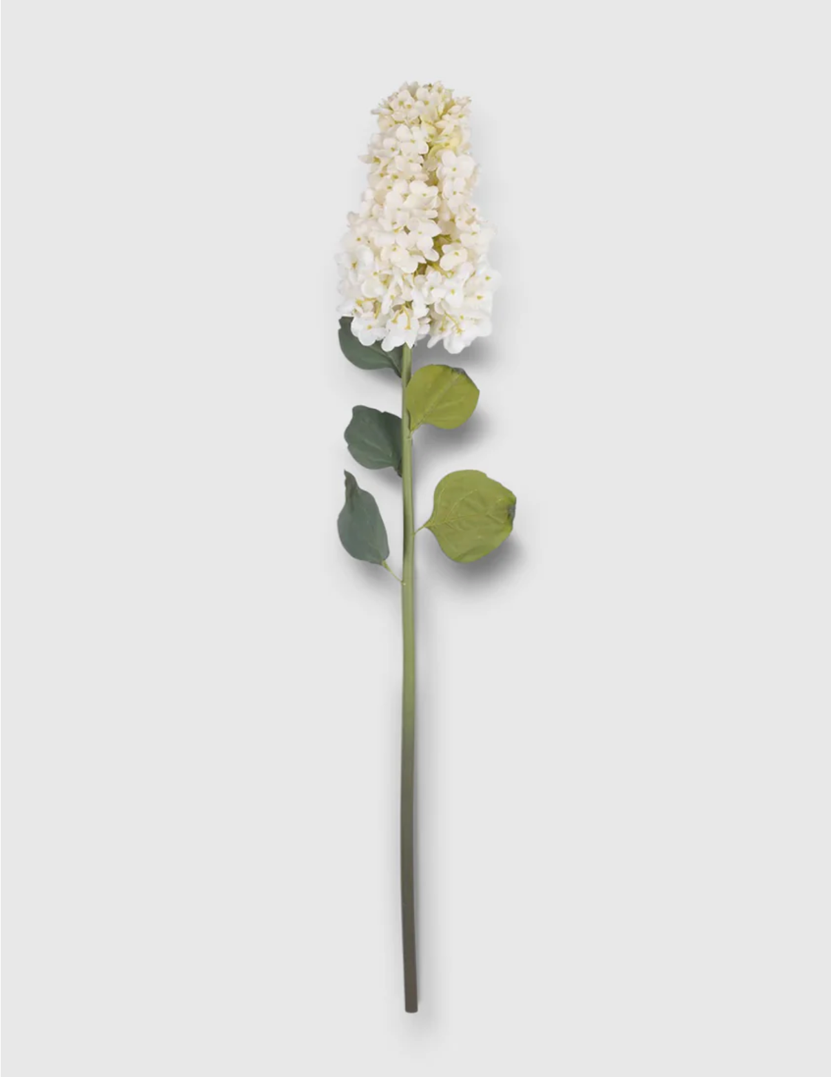 Faux Hydrangea Paniculata: Cream