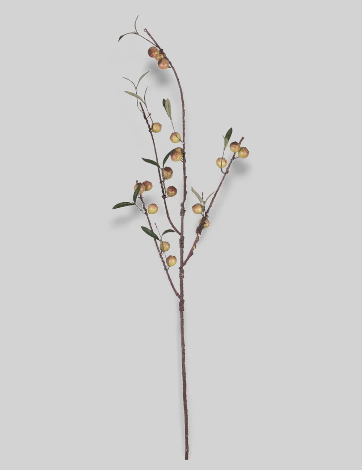 Faux Dappled Rosehip