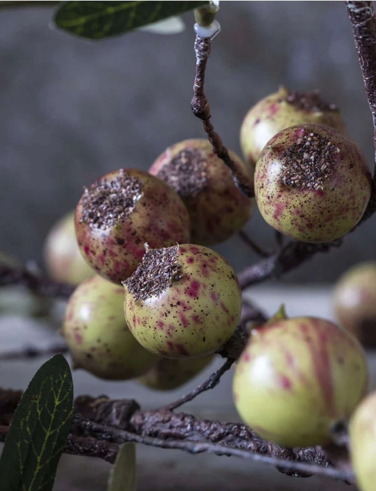 Faux Dappled Rosehip