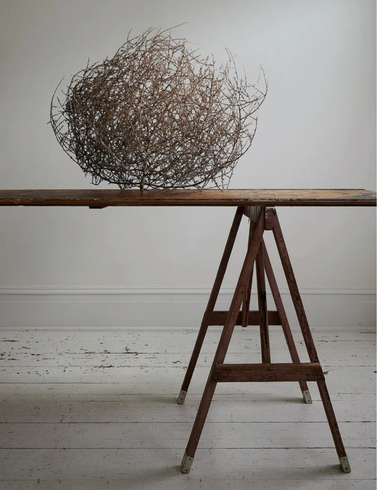 Dried Tumbleweed