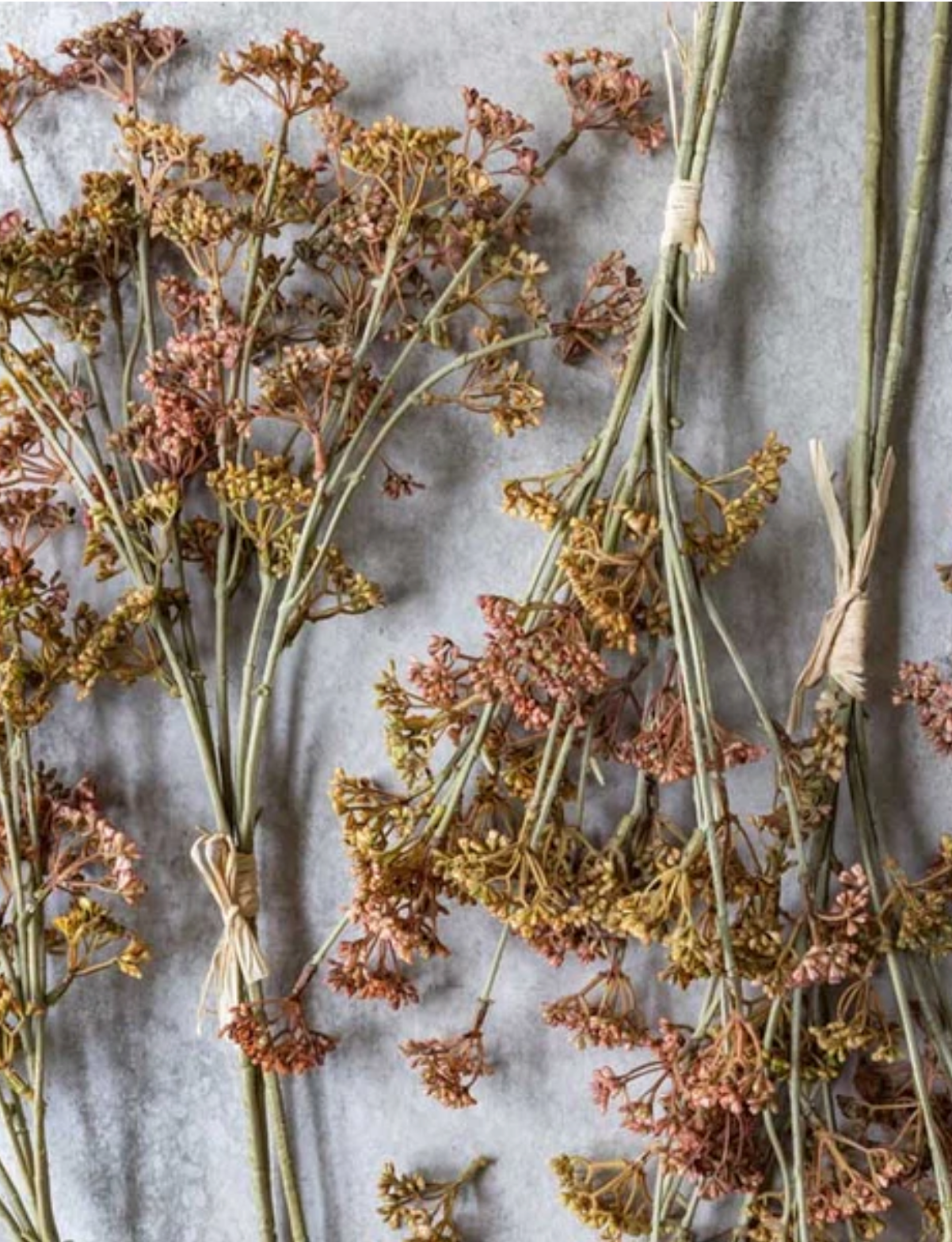 Faux Meadow Sedge Stem: Sunset