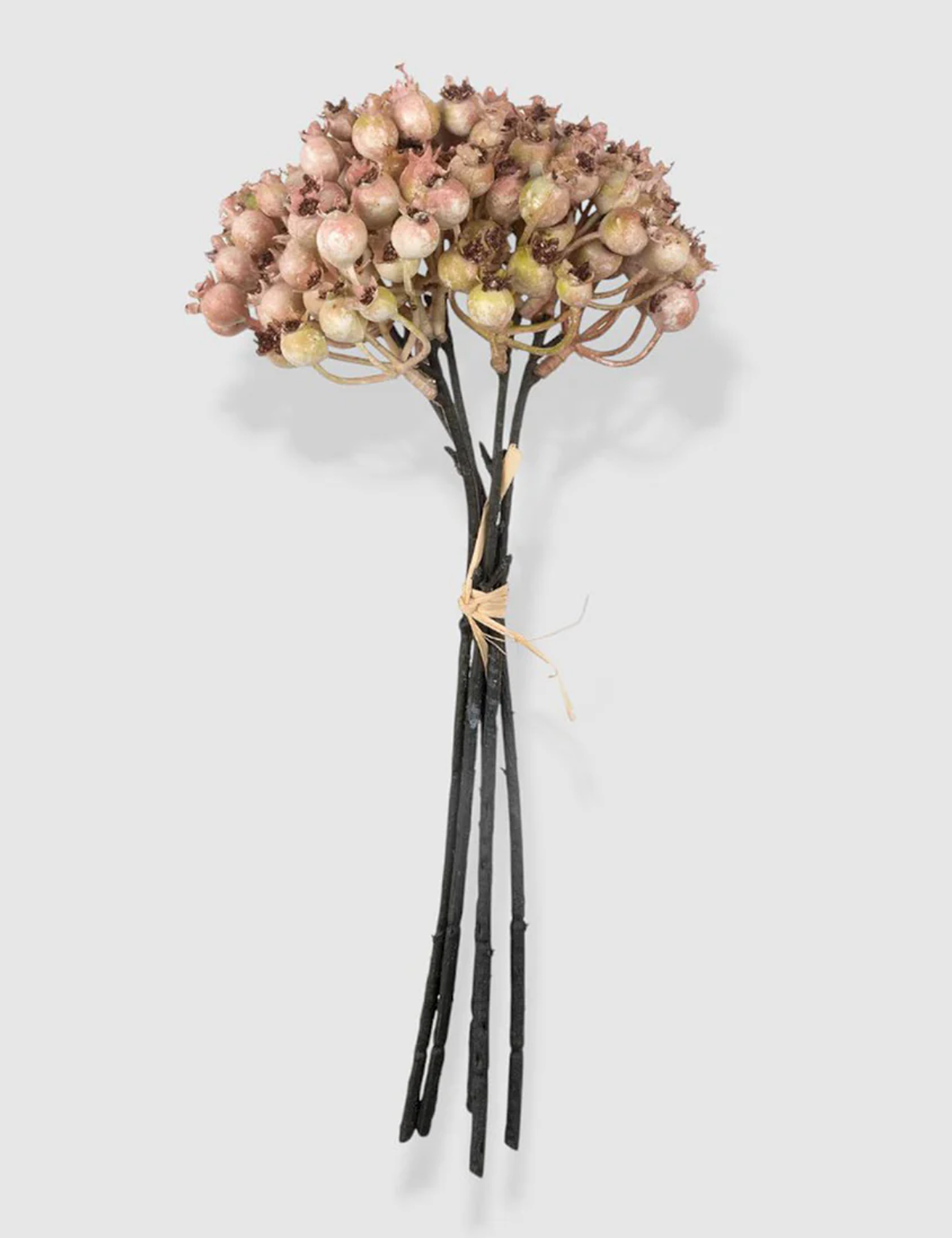 Faux Rose Hip Bunch: Blush