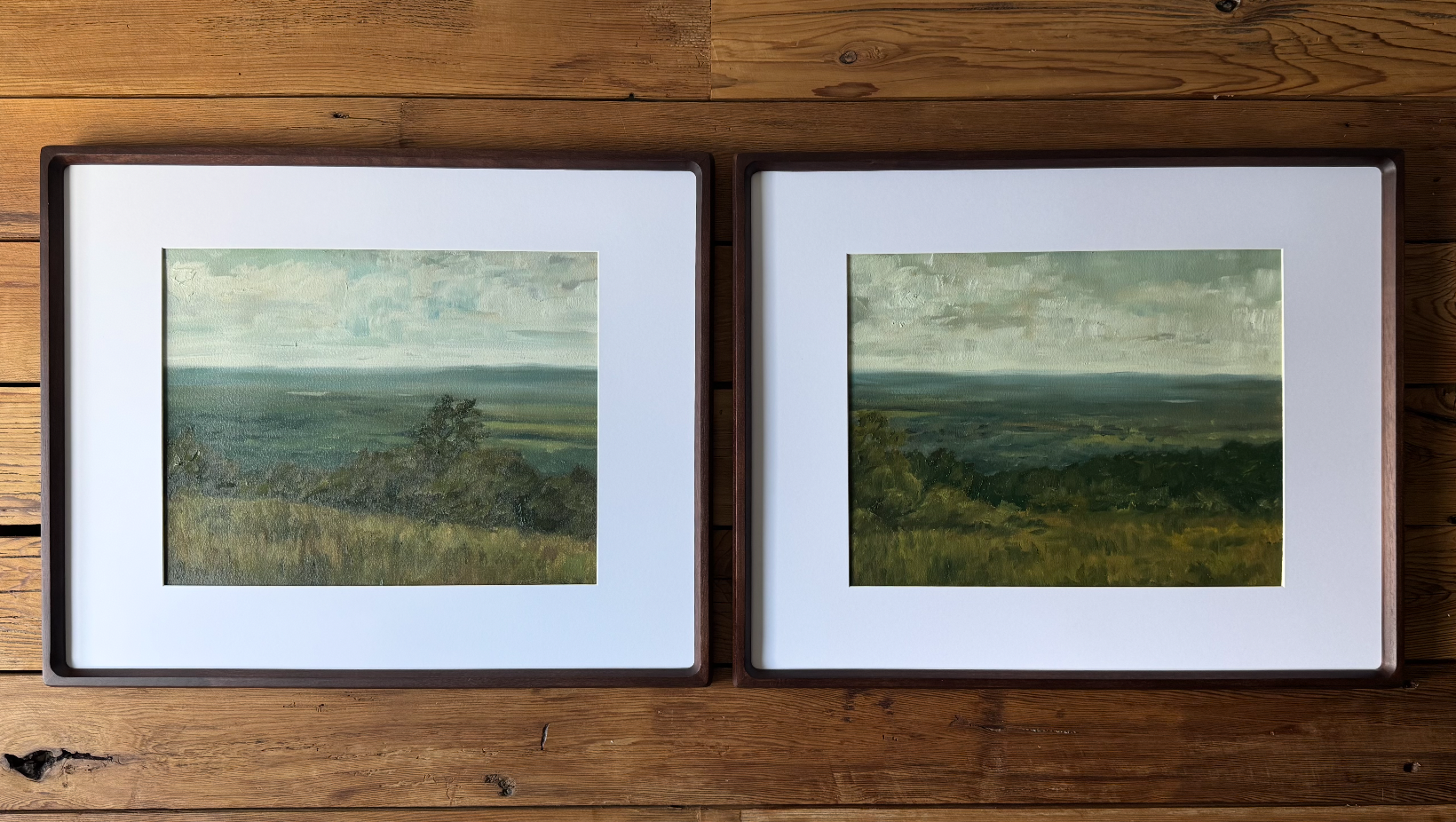 Hill Country Vista No. 01 & 02 - Framed Art by Megan Houssian