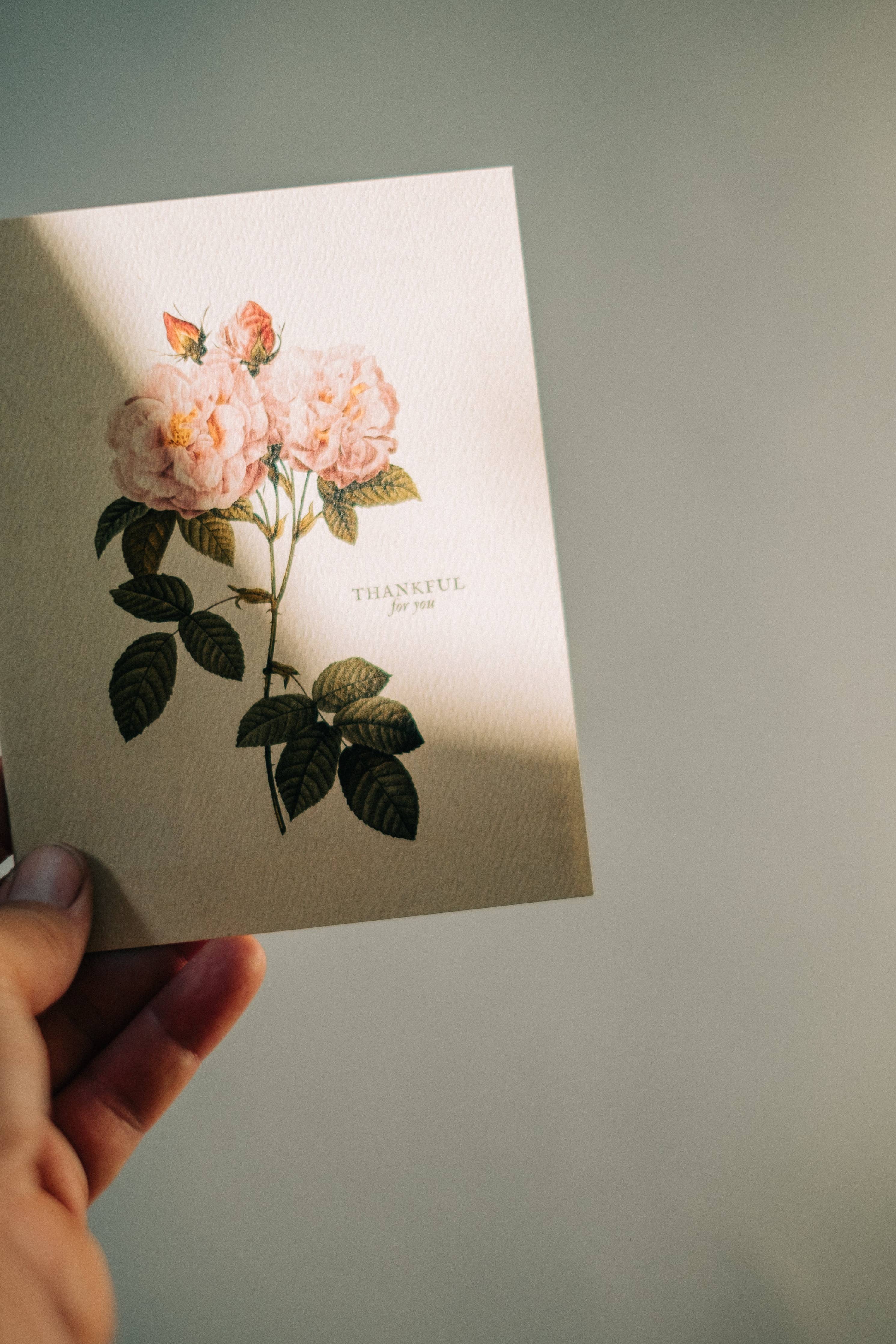 Thankful For You Floral Note Card: Set of 6