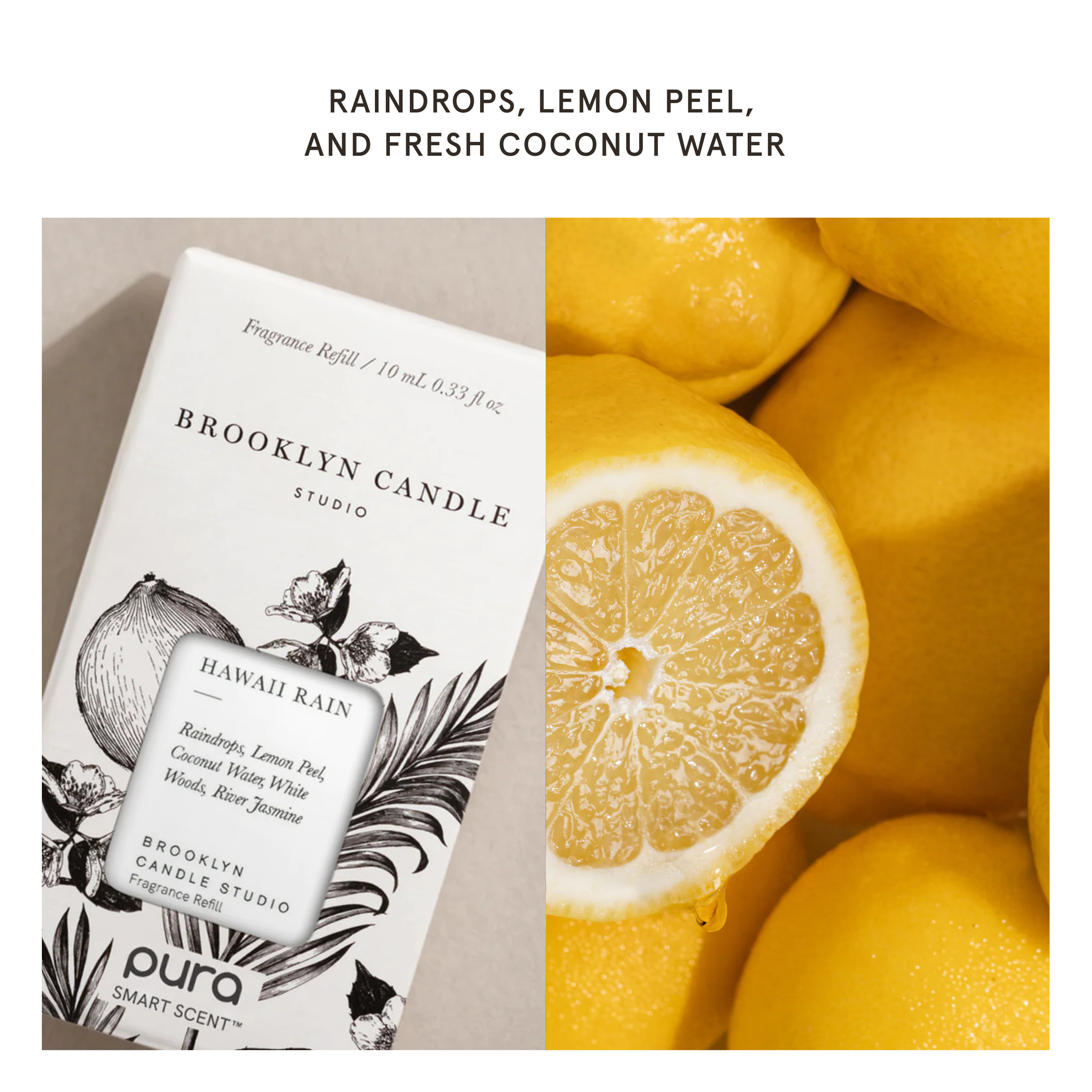 Hawaii Rain by Brooklyn Candle Studio - Pura Scent Refill