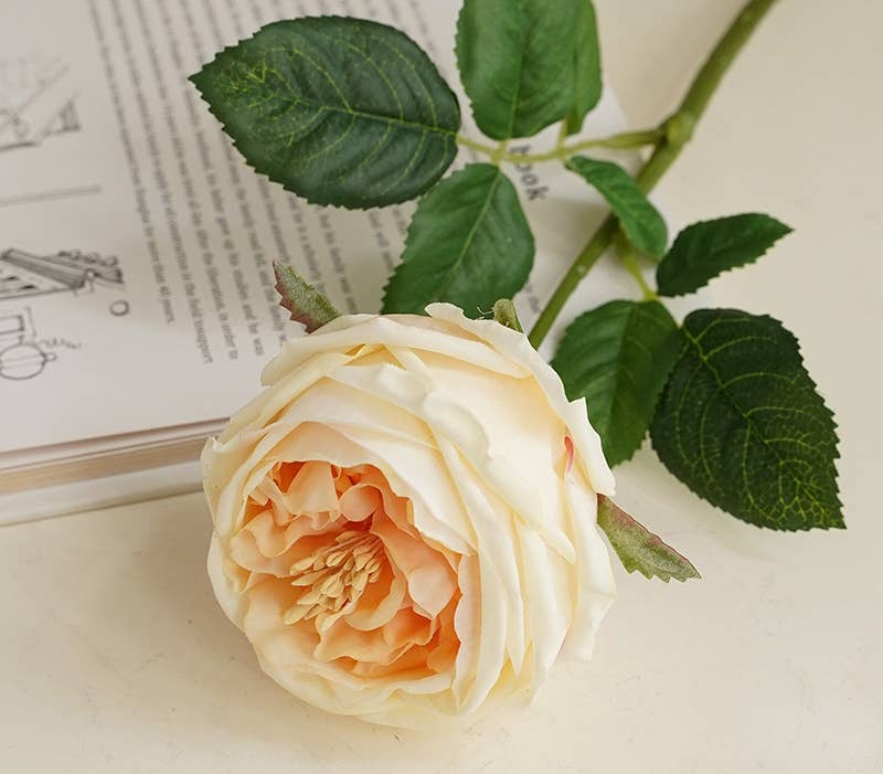 Faux English Cabbage Rose Stem: Light Champagne