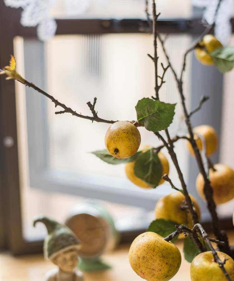 Yellow Apple & Pear Stem