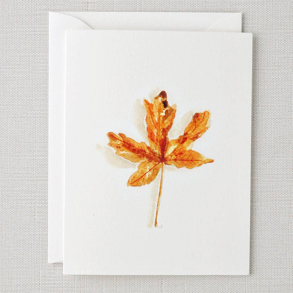 Assorted Autumn Notecards: Set of 8