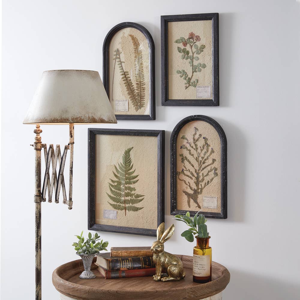 Framed Pressed Botanical: Boston Fern