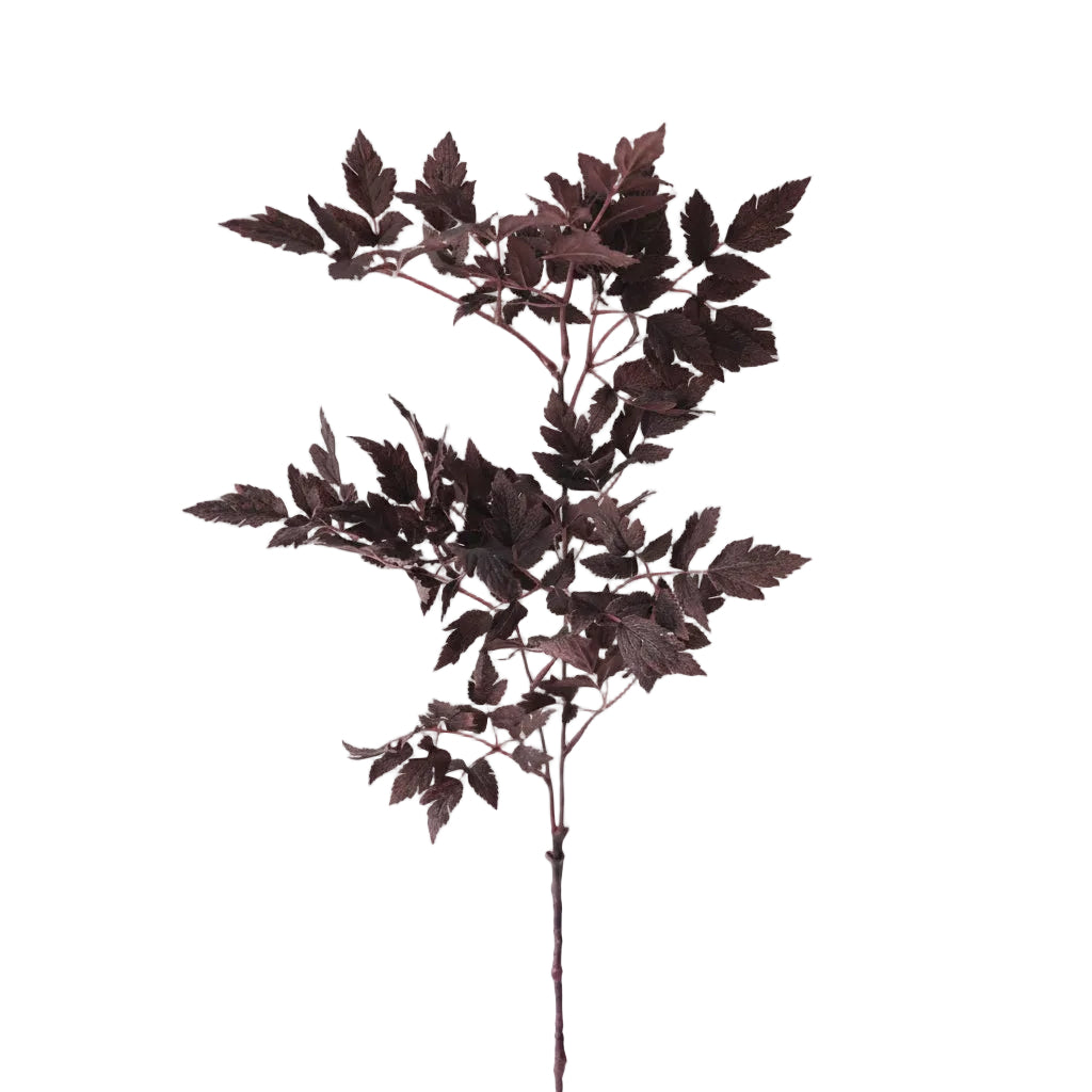 Plum Faux Cimicifuga Ramosa Leaves: 31" Stems