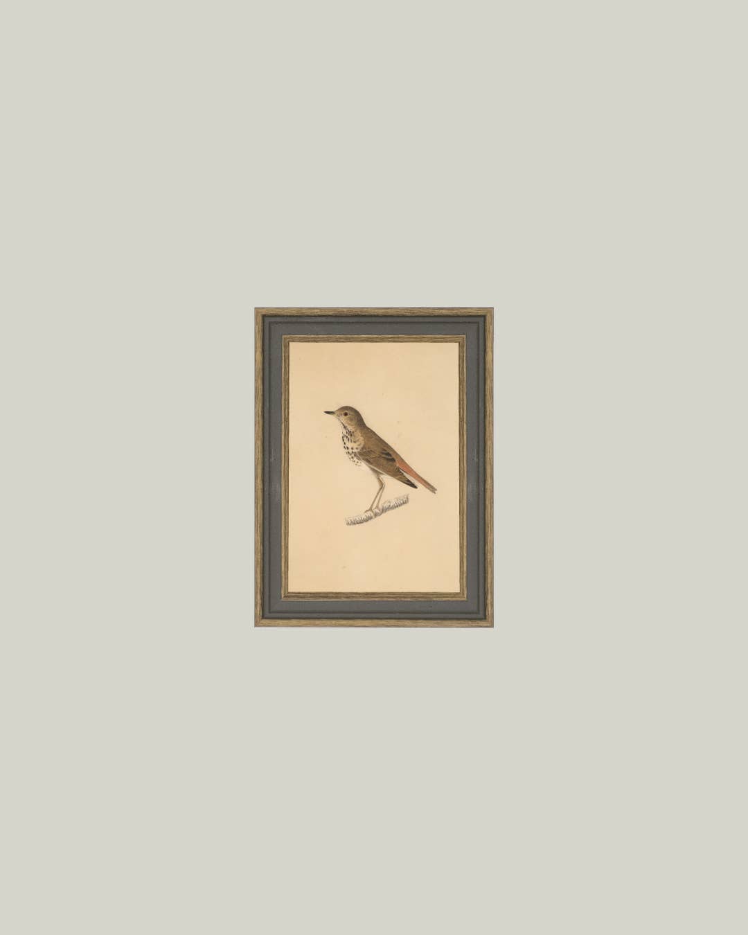 Bird Framed Antique Art: 4x6