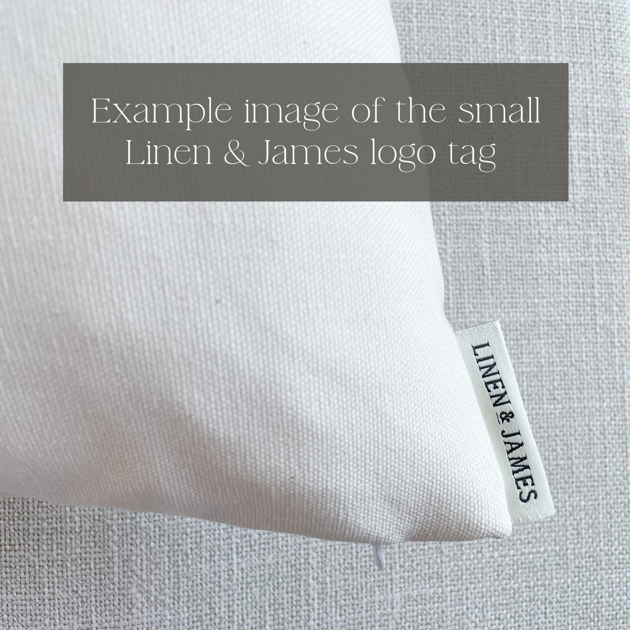 Walker Natural Black Stripe Pillow: 20x20