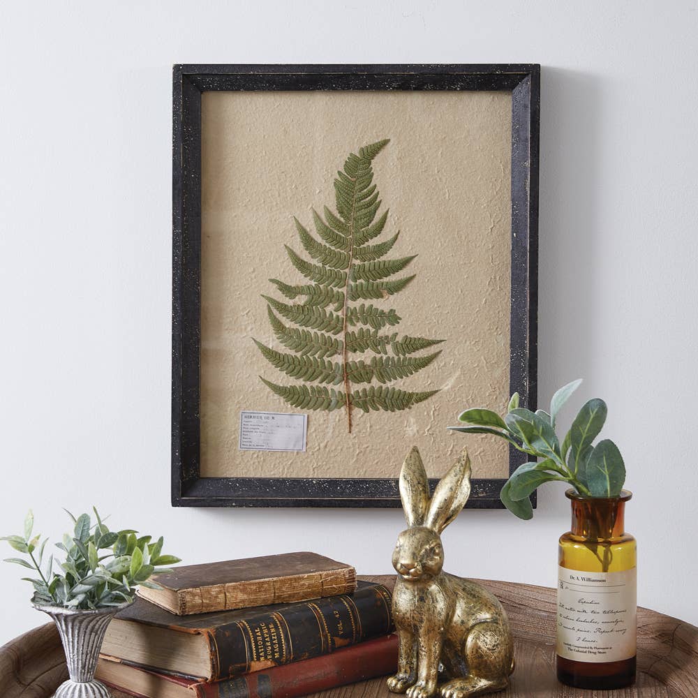 Framed Pressed Botanical: Lady Fern