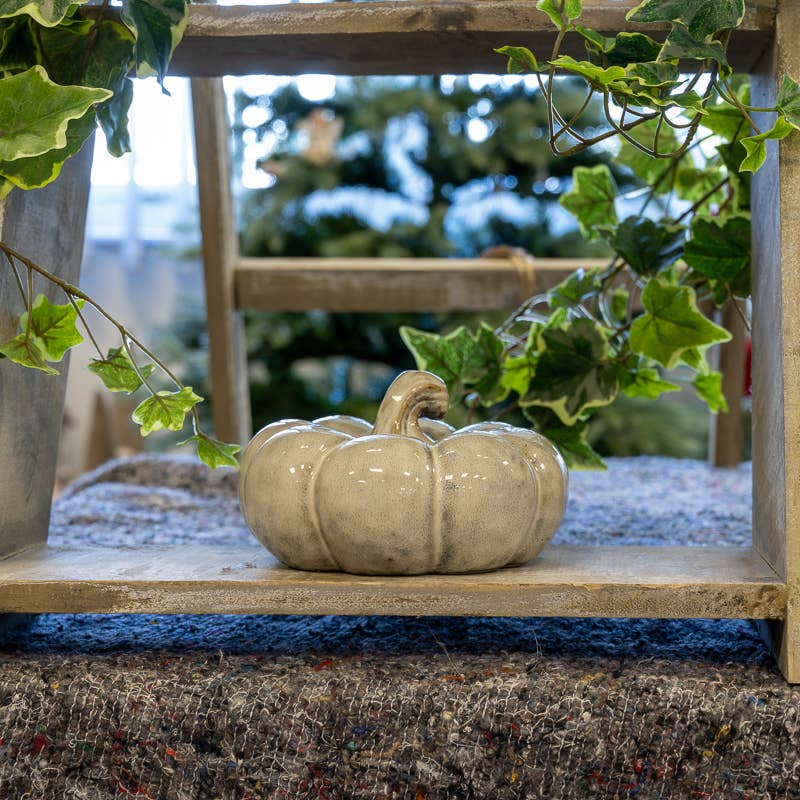 Beige Mottle Ceramic Pumpkin: Medium