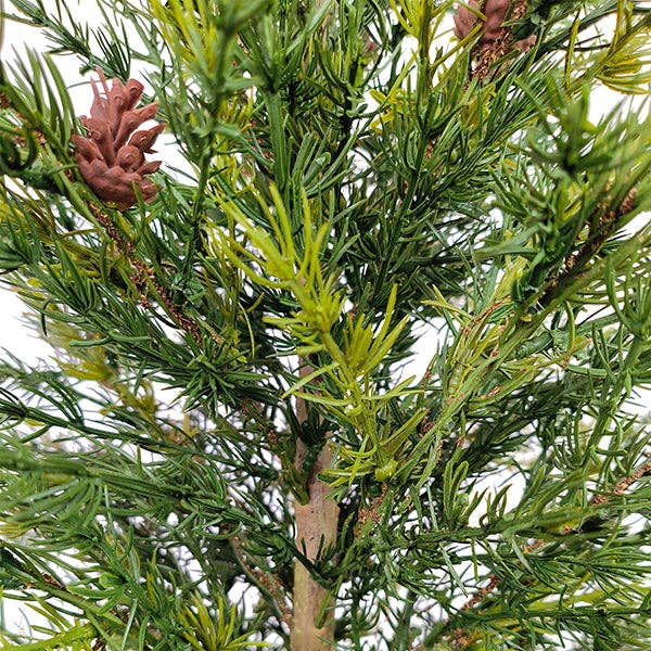 Faux Pine Tree in Woven Basket