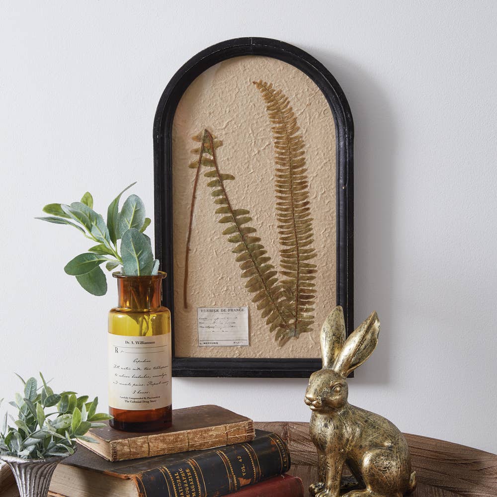 Framed Pressed Botanical: Boston Fern