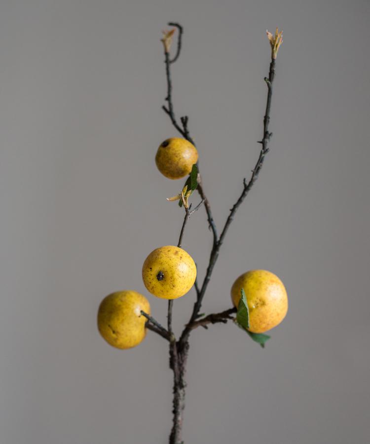 Yellow Apple & Pear Stem