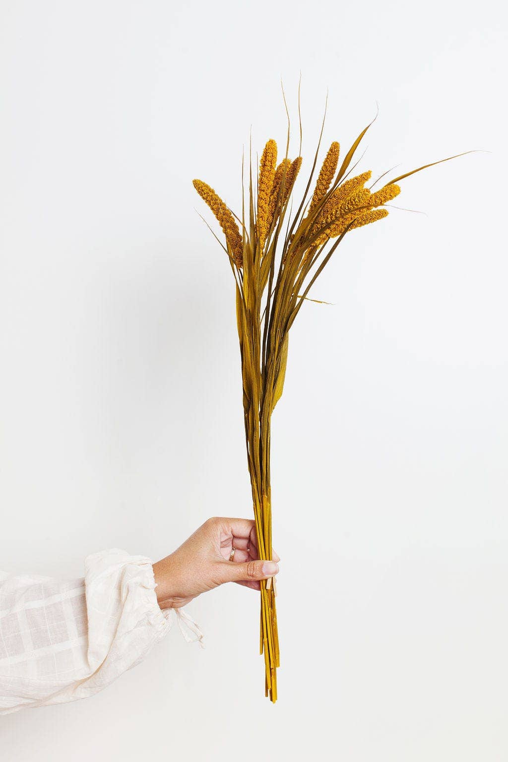 Preserved Mustard Millet: 1 Bunch