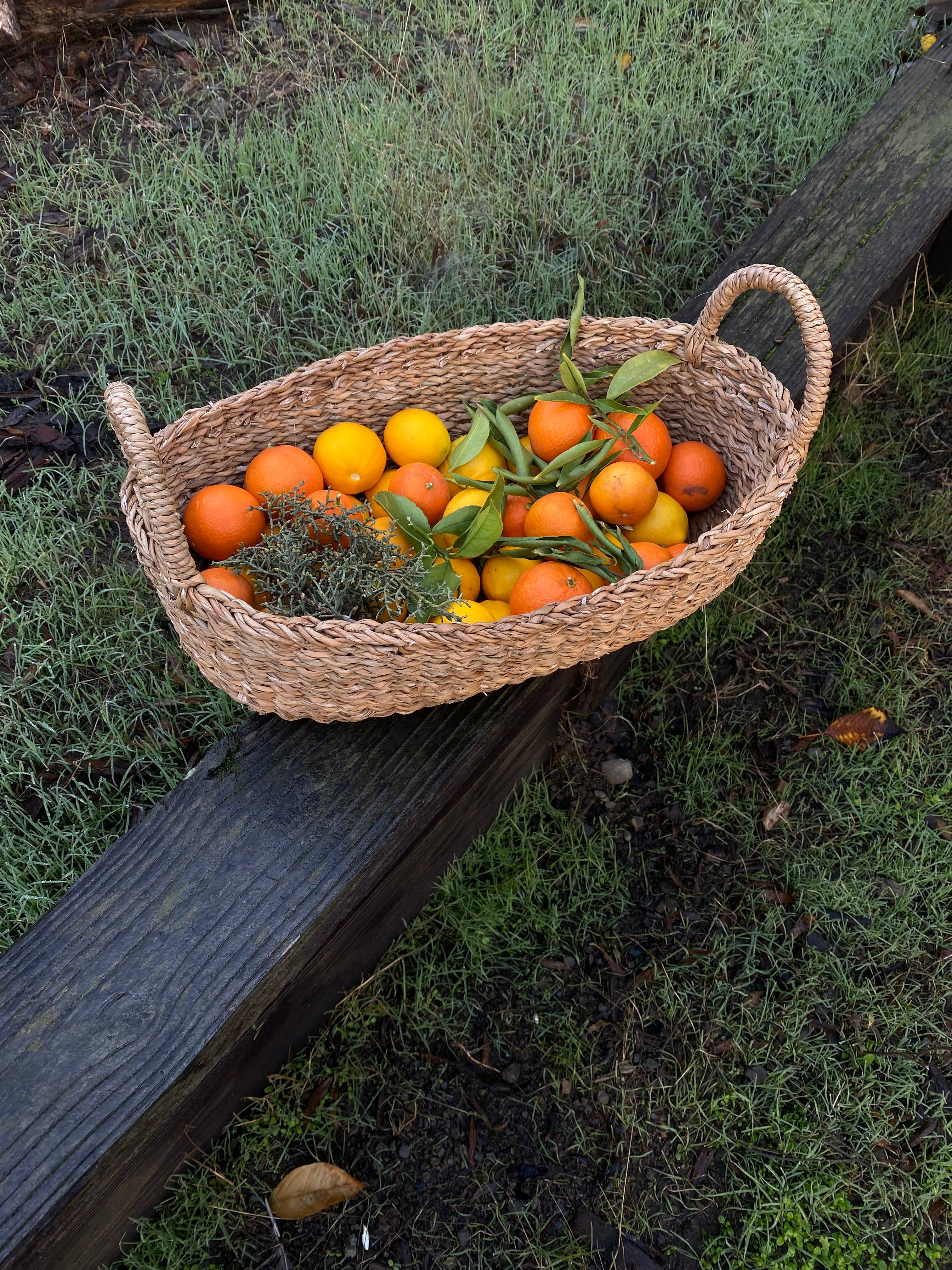 Harvest Tray Basket - Oval