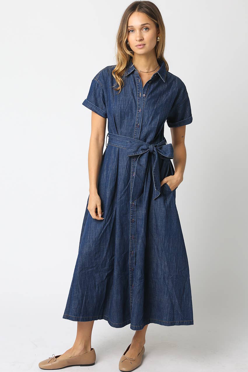Denim Belt Dress
