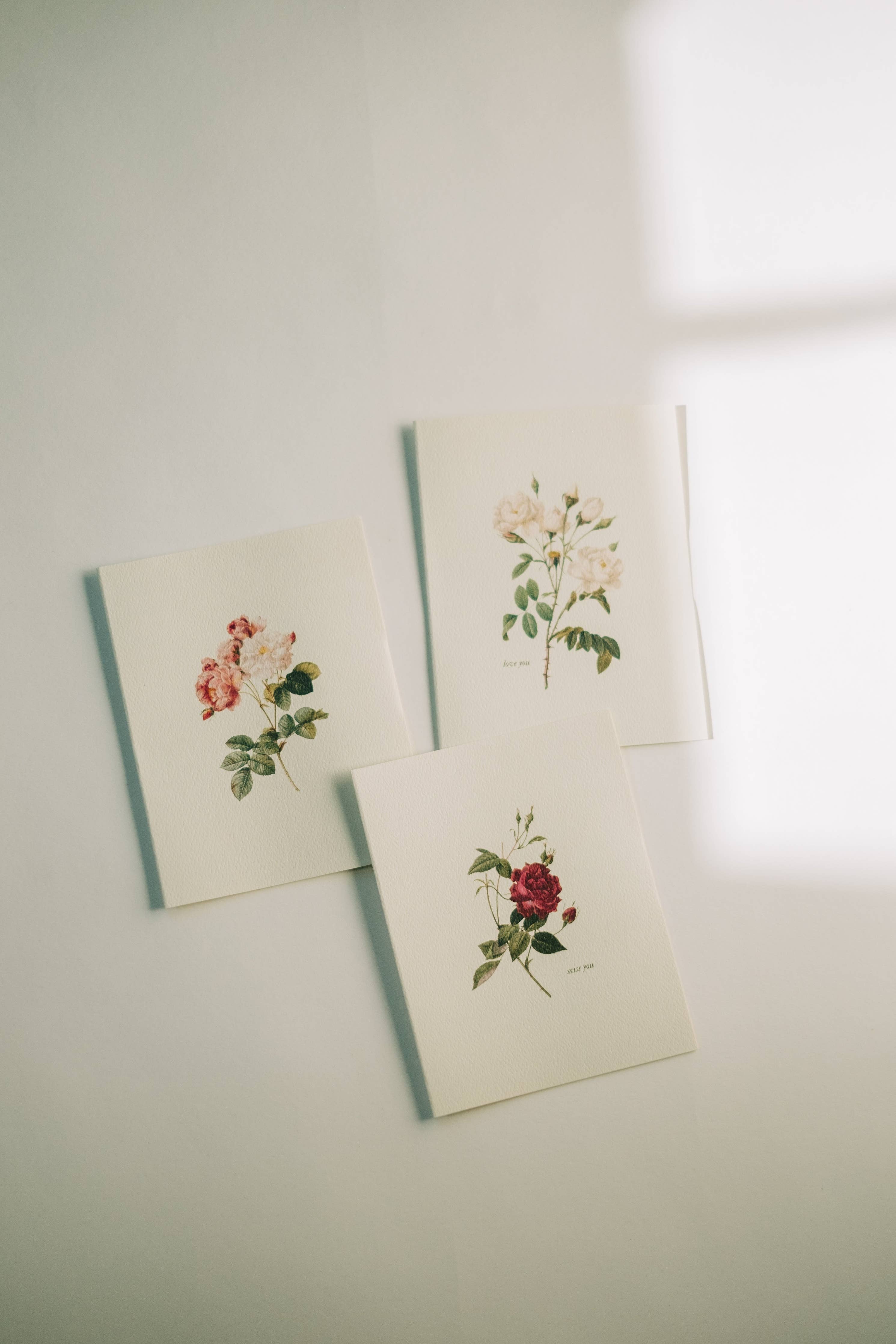 Vintage Roses Note Card: Set of 6