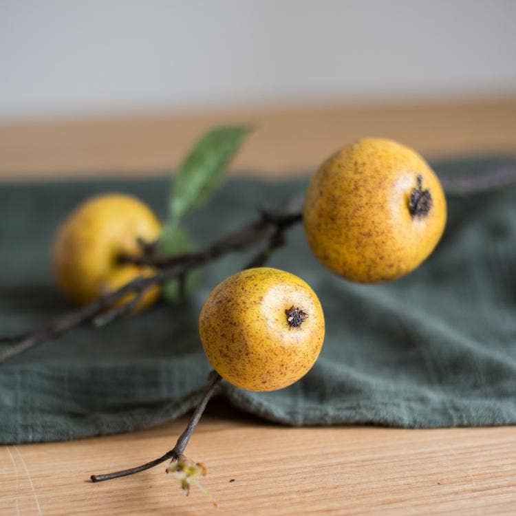 Yellow Apple & Pear Stem