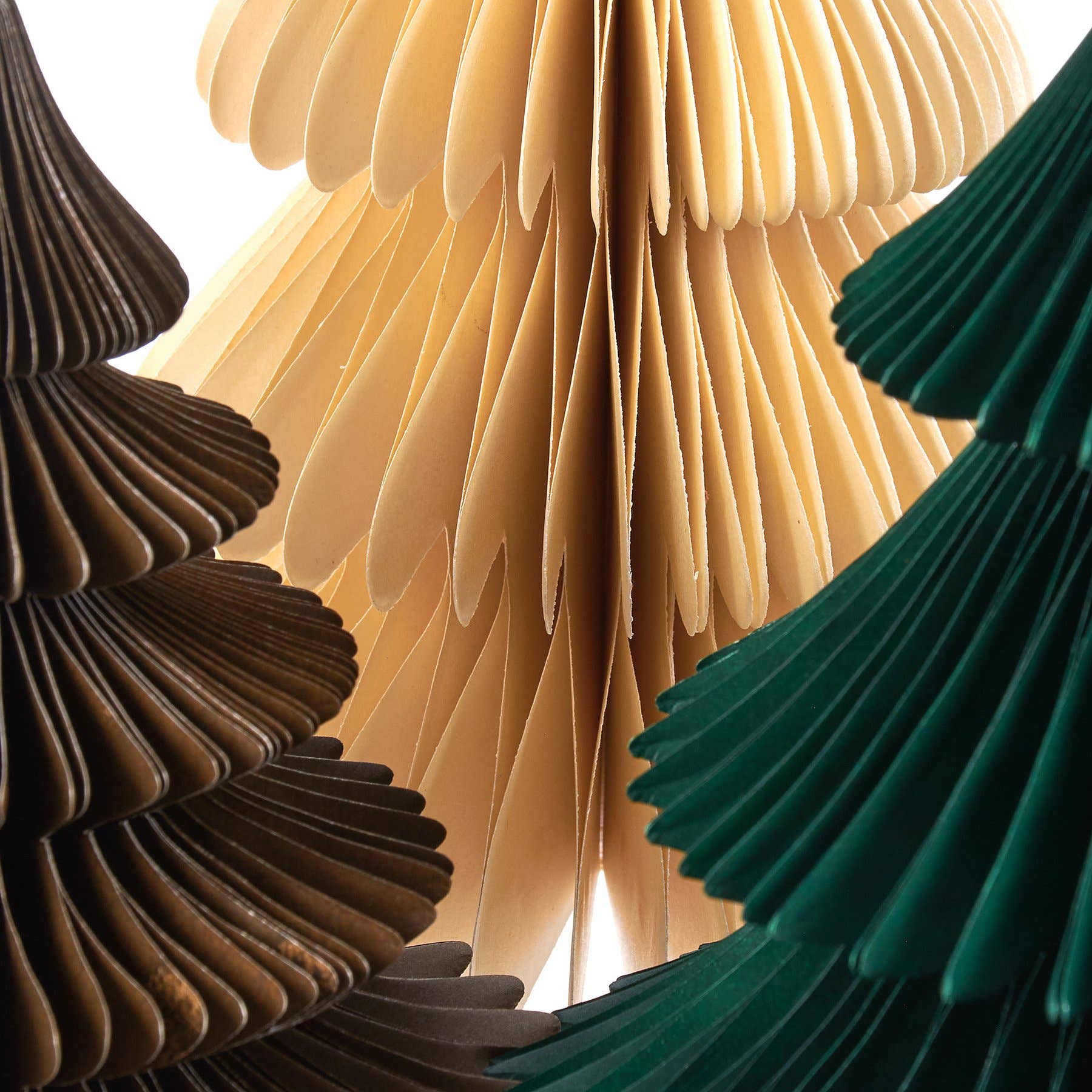 Accordian Paper Tree Set