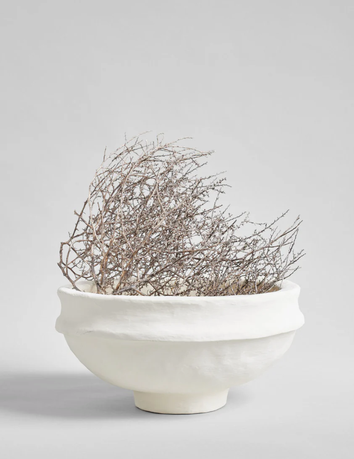 Dried Tumbleweed