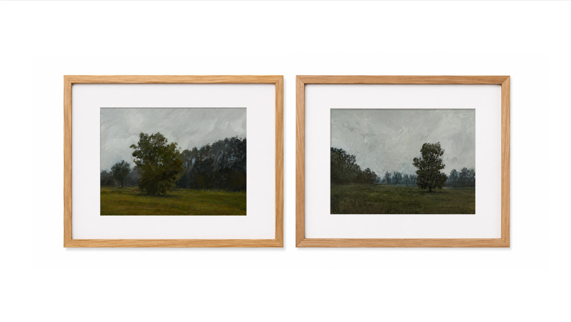 Mist No. 3 and 4 Framed Art by Megan Houssian