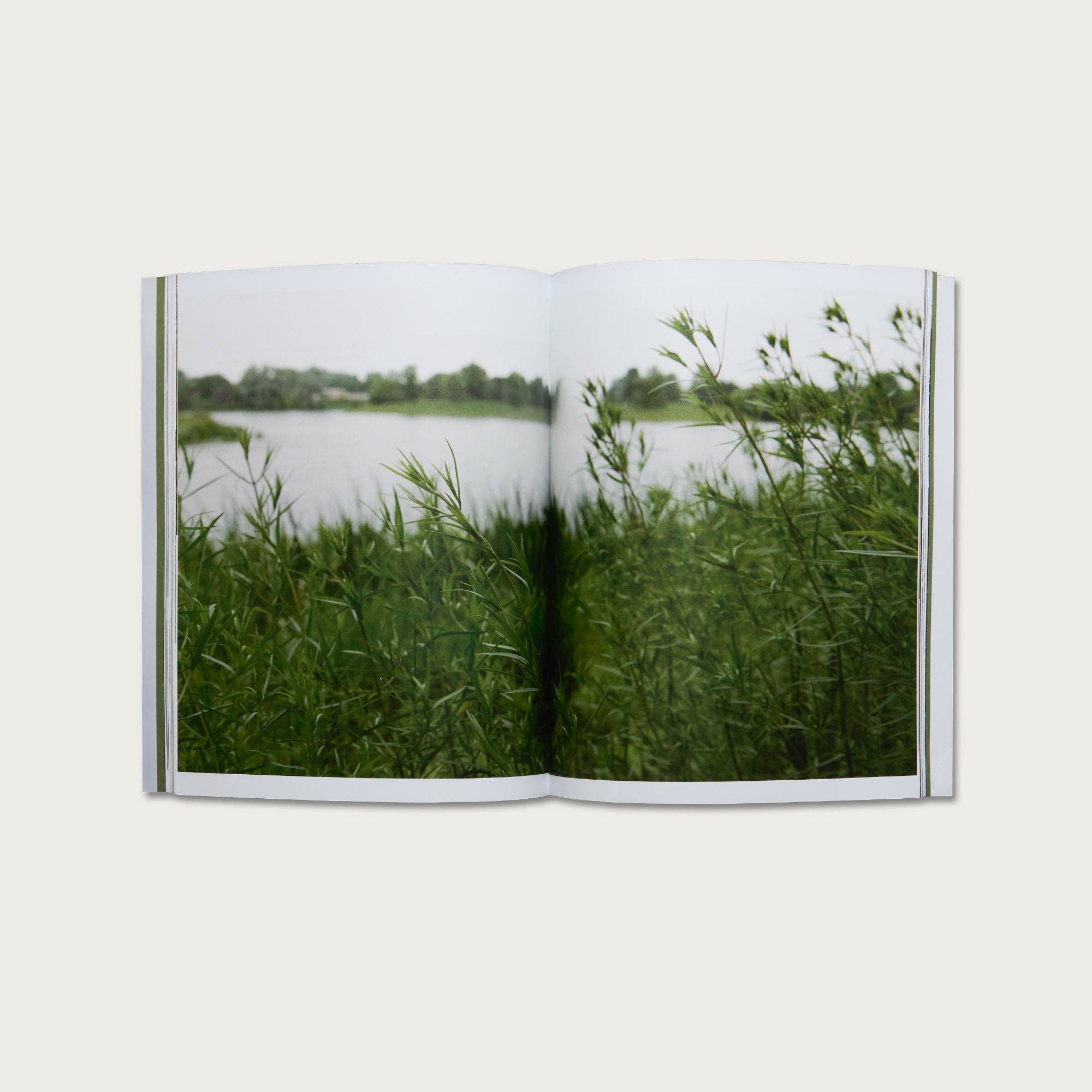 The Book of Hebrews