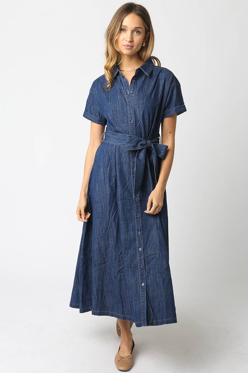 Denim Belt Dress